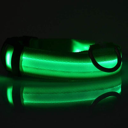 LED Dog Collar