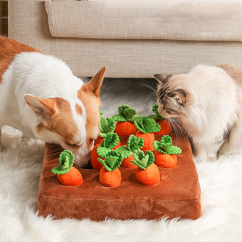 Carrot Dog Toy