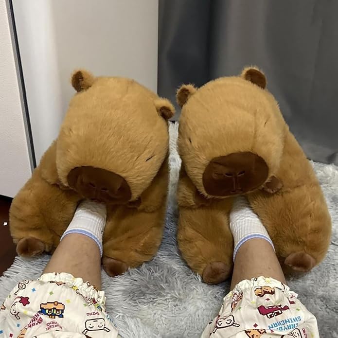 Capybara Slippers